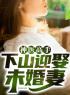 主角叫叶镇天江沐雪的小说是什么 神医高手：下山迎娶未婚妻全文免费阅读