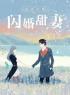 陆先生的闪婚甜妻免费阅读 苏墨陆清泽小说全文在线阅读