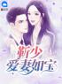 靳少爱妻如宝(叶初七靳斯辰)全文完结在线阅读完整版