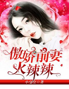 傲娇前妻火辣辣