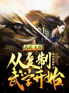 《高武：无敌从复制武学开始》完结版精彩阅读 沈北乌嫣然小说在线阅读