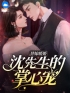 主角叫苏瑾然沈知墨的小说是什么 替嫁暖婚：沈先生的掌心宠全文免费阅读