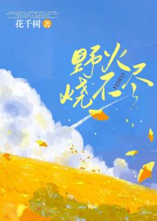 野火烧不尽(江野陆君炎)全文完结在线阅读完整版