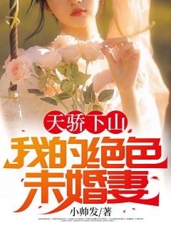 天骄下山：我的绝色未婚妻