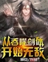 从吞噬剑体开始无敌(陆凡陆辰)全文完结在线阅读完整版