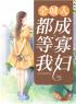 主角叫秦安安傅时霆的小说是什么 全城人都等我成寡妇全文免费阅读