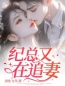 主角叫杨淼纪赟的小说是什么 纪总又在追妻全文免费阅读