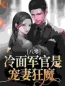 小说《八零：冷面军官是宠妻狂魔》沈青谢元霆全文免费试读